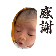 non non_20260327204219