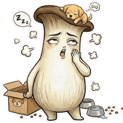 Pleurotus eryngii NO.1