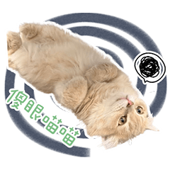 熊❤️迪❤️6❤️甜