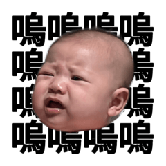 海膽小胖妹