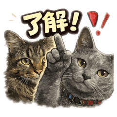 Hiroyan_20260327231048