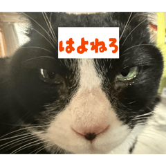 Luukun_20260327231531