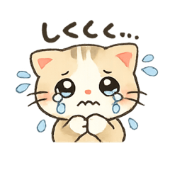 matomato.930_20260327231506