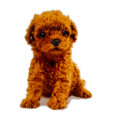 kakao_20260327230926