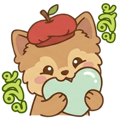 Apple Yorkie Dog Cute Yorkshire Terrier