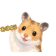 PET SEEYOUAGAIN_20260327170224