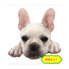 TAKEMO_20260327170236