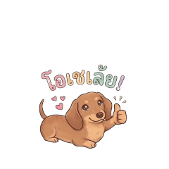 pizza_20260327155326