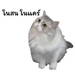 Jeejengpapa_20260327163651