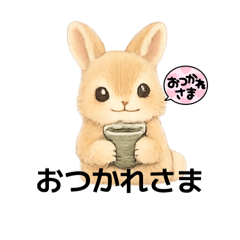 kurumin_20260327215625