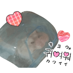 momomo_20260327220041