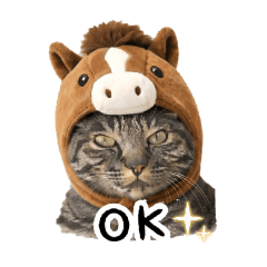 usachan_20260328000312