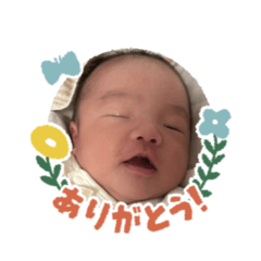 yuipi_20260328001520