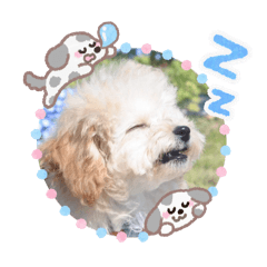 yusugeee_20260327222706