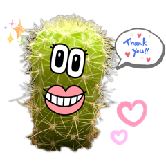 @papie_20260327202938