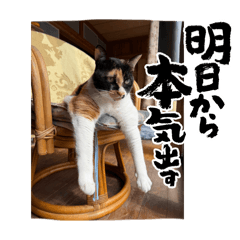 kumasan_20260328005132