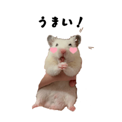 corocoro-puu_20260328005411