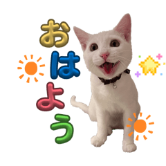 purpurmimmy_20260327221921