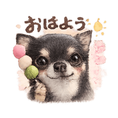 poohchan_20260328011025