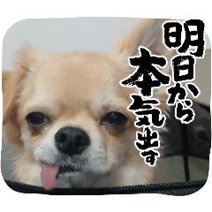 endox_20260328011705