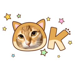 The gang sk1_20260327204927