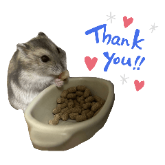 nezutyu_20260328005452