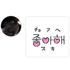 momopen0201_20260327175039