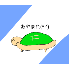 kamegame_20260327175835