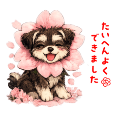 Naoki Yoshihara_20260324213621