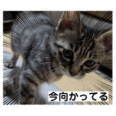 mutsugoro_20260327180353