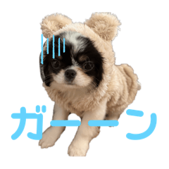 Yume Han_20260327180338