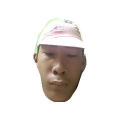 raccoon_20260327165826