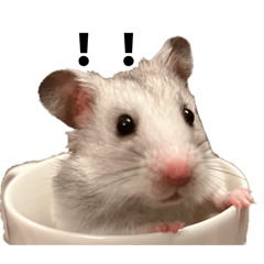 Kogitaro_20260327231804