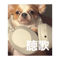 （離譜的）奶茶2