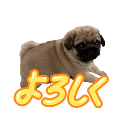 Gonta_20260328004249