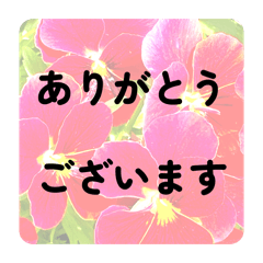 chamiramama_20260328003721