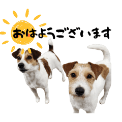 anjyu_20260328070746