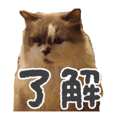 Hyuga_20260328093253