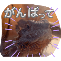 rerere_20260328093819