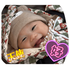 honamin_20260328094626