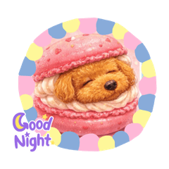 sheri_20260328095833