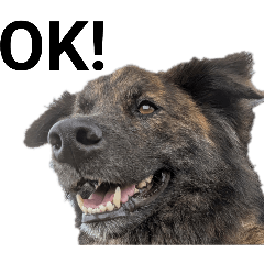 mofumofu_20260328013910