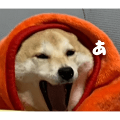 liz6us__20260328014426