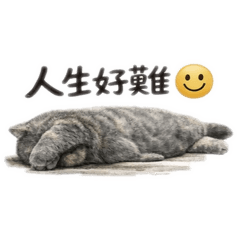 一隻厭世但又有點可愛的貓