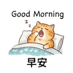 自用布丁胖橘貓