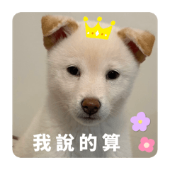 Nuo mimi bb