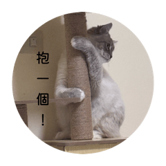 糯米&小寶日常