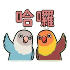 魅力鳥表情貼系列之一