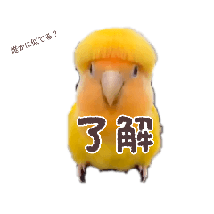 konomin_20260328052906