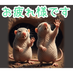 PAKAMOGOLY_20260325002233